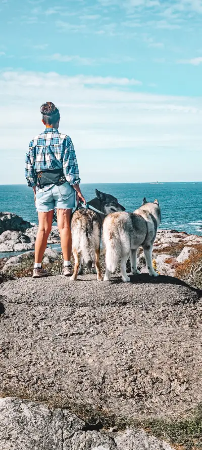 DOG TREKKING: L’ATTREZZATURA DEFINITIVA | AUTUNNO-inverno 2026/2027 17 Loype trail belt escursione sci