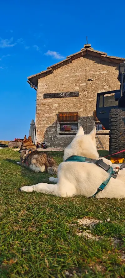 Weekend in Lessinia con il cane: malghe, sentieri e posti da scoprire 1 malga-cime-lessinia-cani