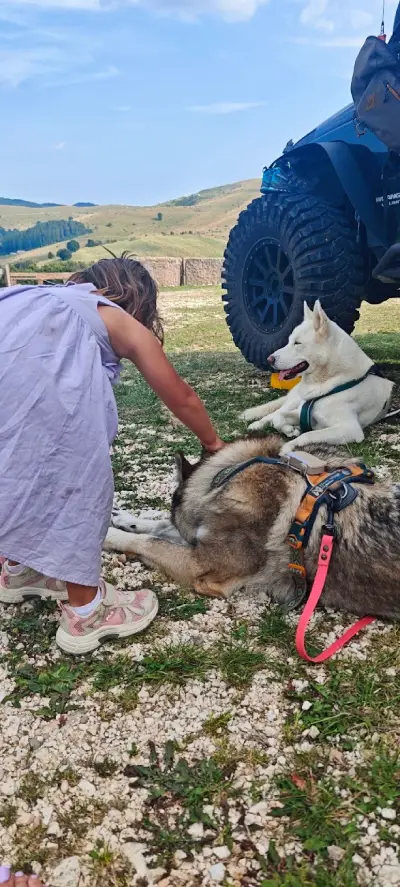 Weekend in Lessinia con il cane: malghe, sentieri e posti da scoprire 2 virginia-malga-cime