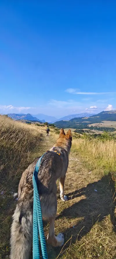 Weekend in Lessinia con il cane: malghe, sentieri e posti da scoprire 10 escursione-lessinia-con-il-cane-el-bloc