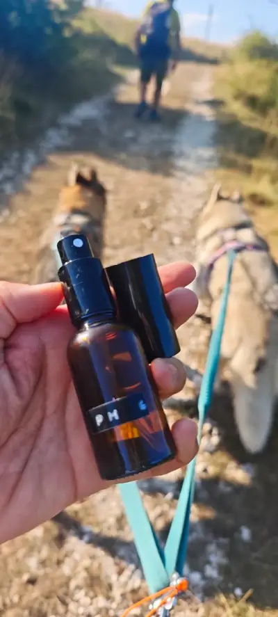 Weekend in Lessinia con il cane: malghe, sentieri e posti da scoprire 11 cane-spray-cute